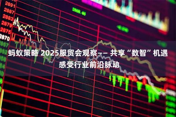 蚂蚁策略 2025服贸会观察—— 共享“数智”机遇 感受行业前沿脉动