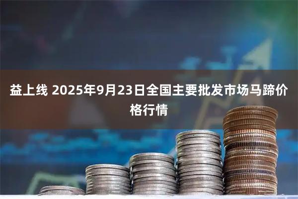 益上线 2025年9月23日全国主要批发市场马蹄价格行情