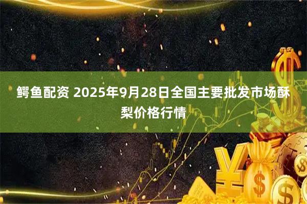 鳄鱼配资 2025年9月28日全国主要批发市场酥梨价格行情