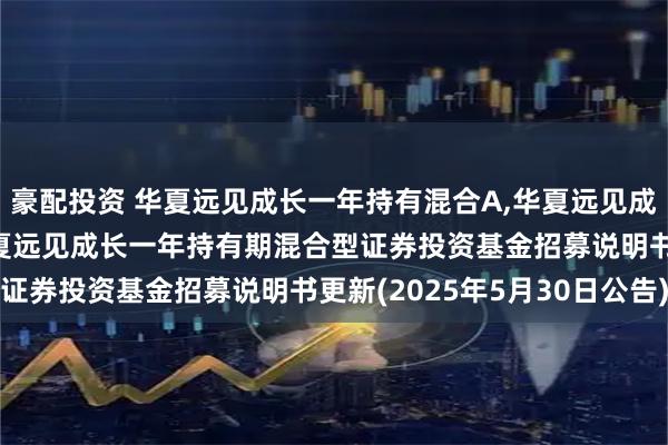 豪配投资 华夏远见成长一年持有混合A,华夏远见成长一年持有混合C: 华夏远见成长一年持有期混合型证券投资基金招募说明书更新(2025年5月30日公告)